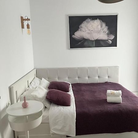 Alma Apartments Suceava Dış mekan fotoğraf