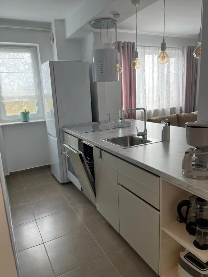 Alma Apartments Suceava Dış mekan fotoğraf