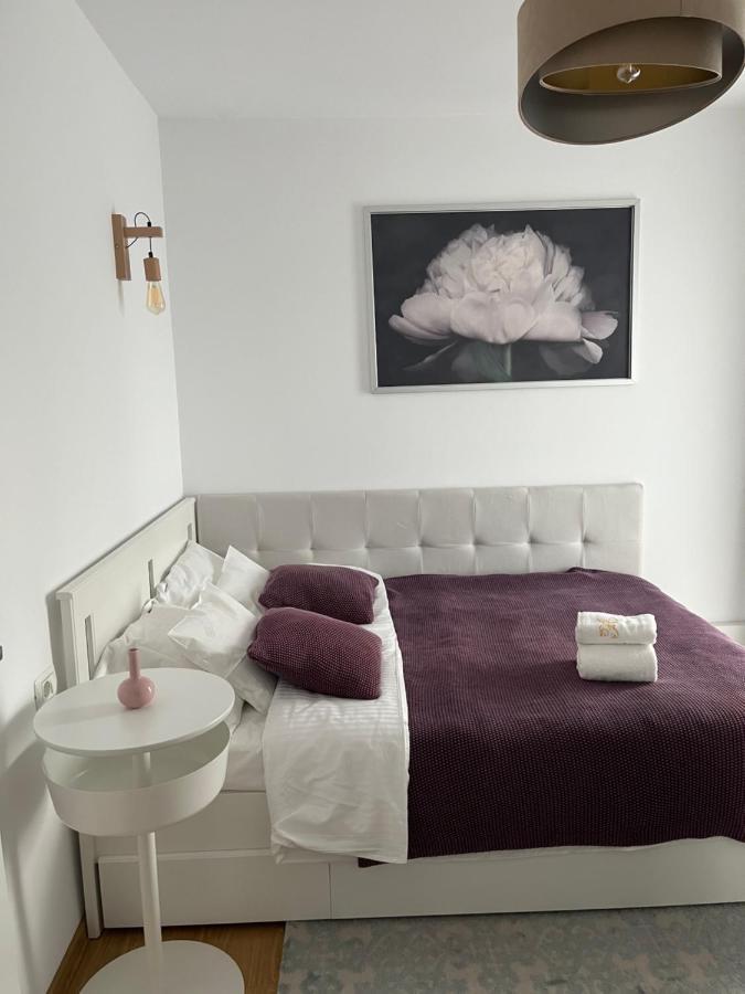 Alma Apartments Suceava Dış mekan fotoğraf