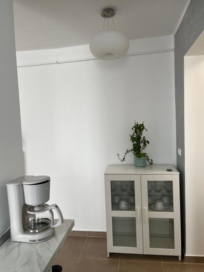 Alma Apartments Suceava Dış mekan fotoğraf
